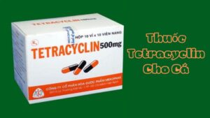 Hướng Dẫn Sử Dụng Thuốc Tetracyclin Cho Cá