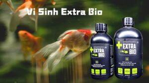 Vi Sinh Extra Bio: Giải Pháp Tối Ưu Cho Nông Nghiệp Bền Vững